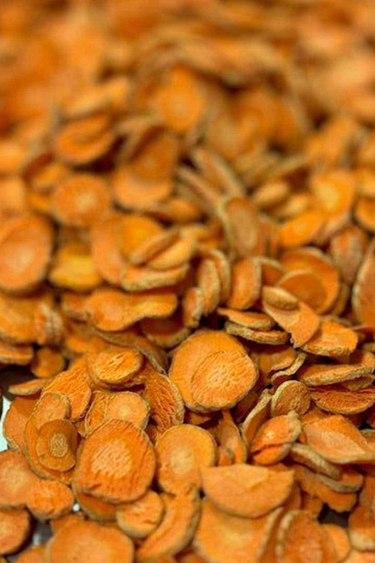 CARROT SLICES / CUBE